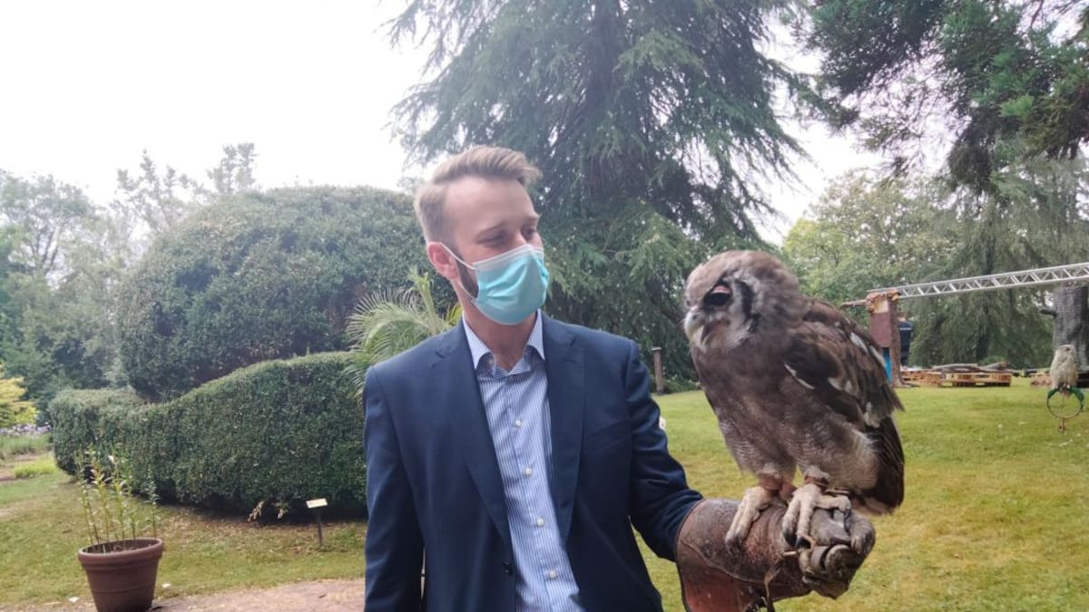 Nocturnia en Gijón 2021