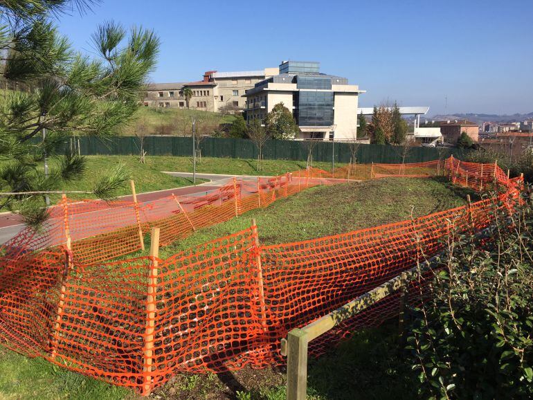 En Gain Gainean, los trabajos van encaminados a crear una pradera floral para reforzar la decoración de las zonas verdes.