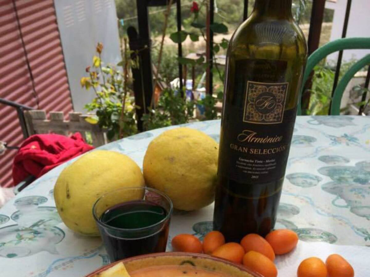 Zoque de limón de Benamargosa