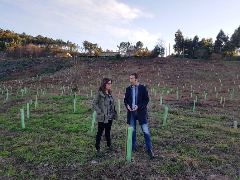 El alcalde de Cervo y la edil de Medio Ambiente en la finca donde se plantaron los árboles autóctonos