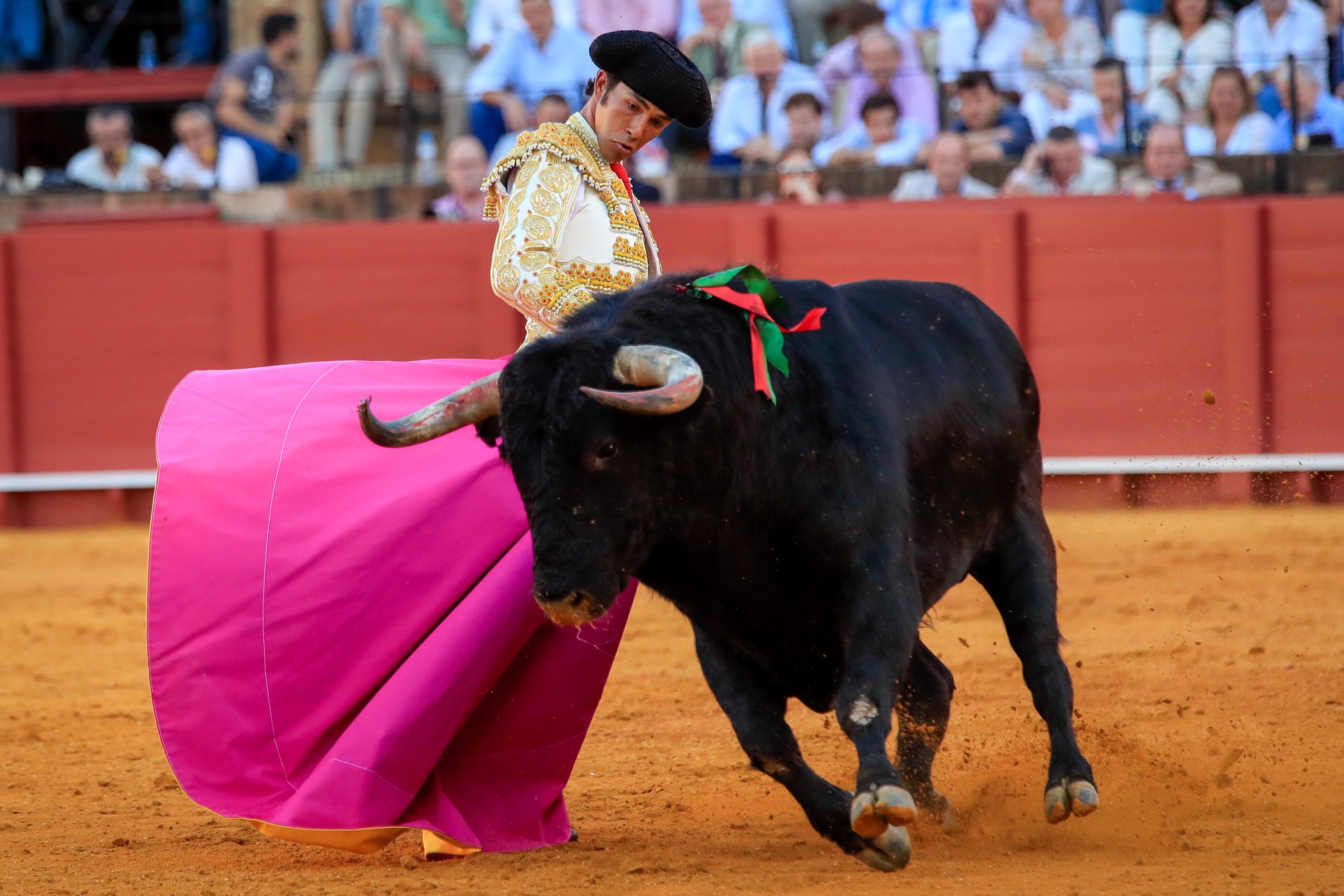 SEVILLA, 16/04/2023.- El torero José Ruiz Muñoz da un pase con el capote a uno de los de su lote, durante la segunda corrida de abono de la Feria de Abril celebrada esta domingo en la plaza de la Real Maestranza de Sevilla. EFE/Julio Muñoz
