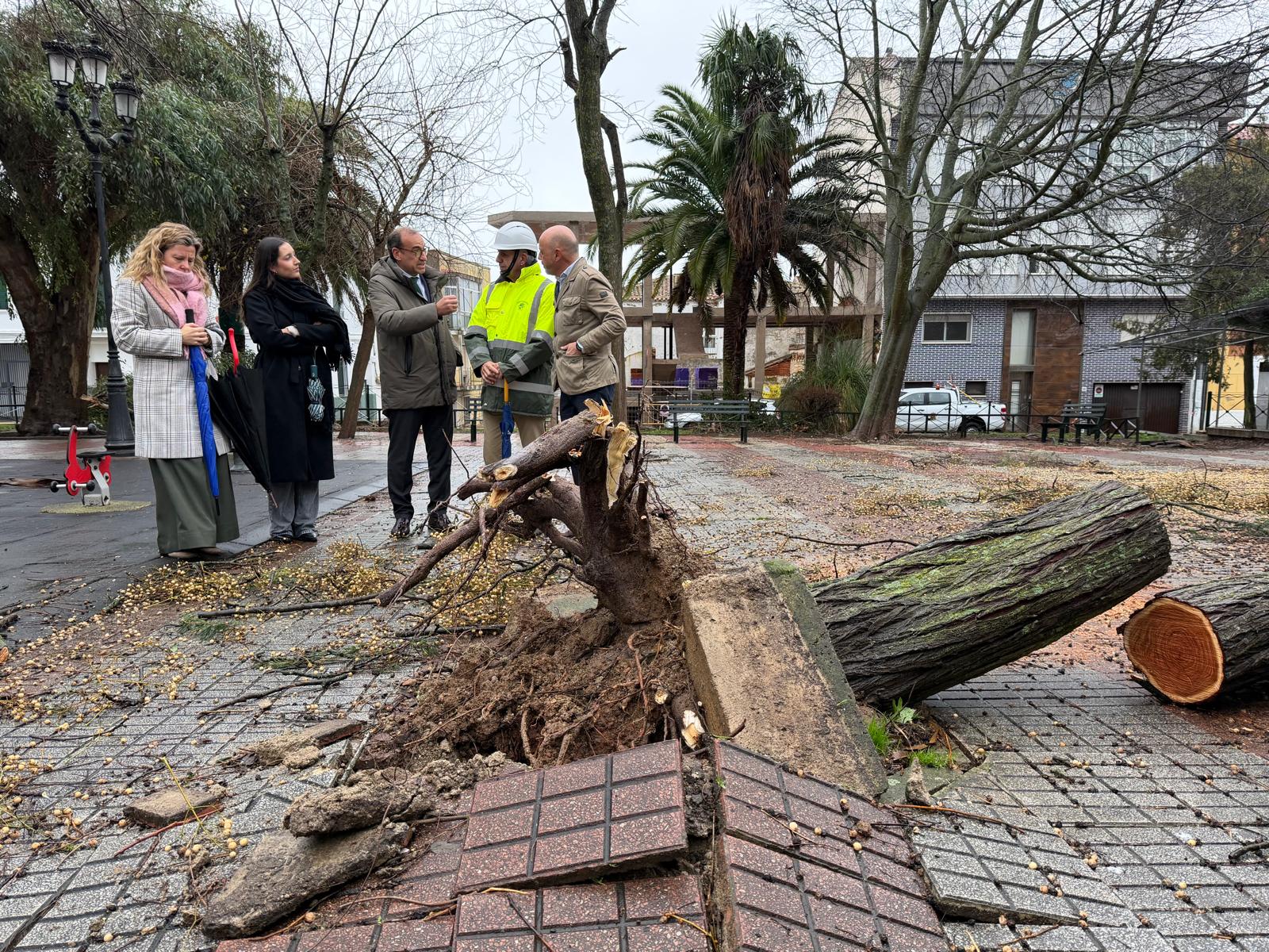La plaza de Italia de Cáceres, una de las zonas más afectadas por la borrasca Kristin