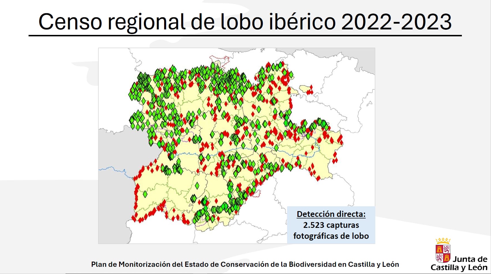 El lobo en Castilla y León: aumenta el número de manadas y se expande hacia la Ibérica y el sur del Duero | Fuente: Junta de Castilla y León