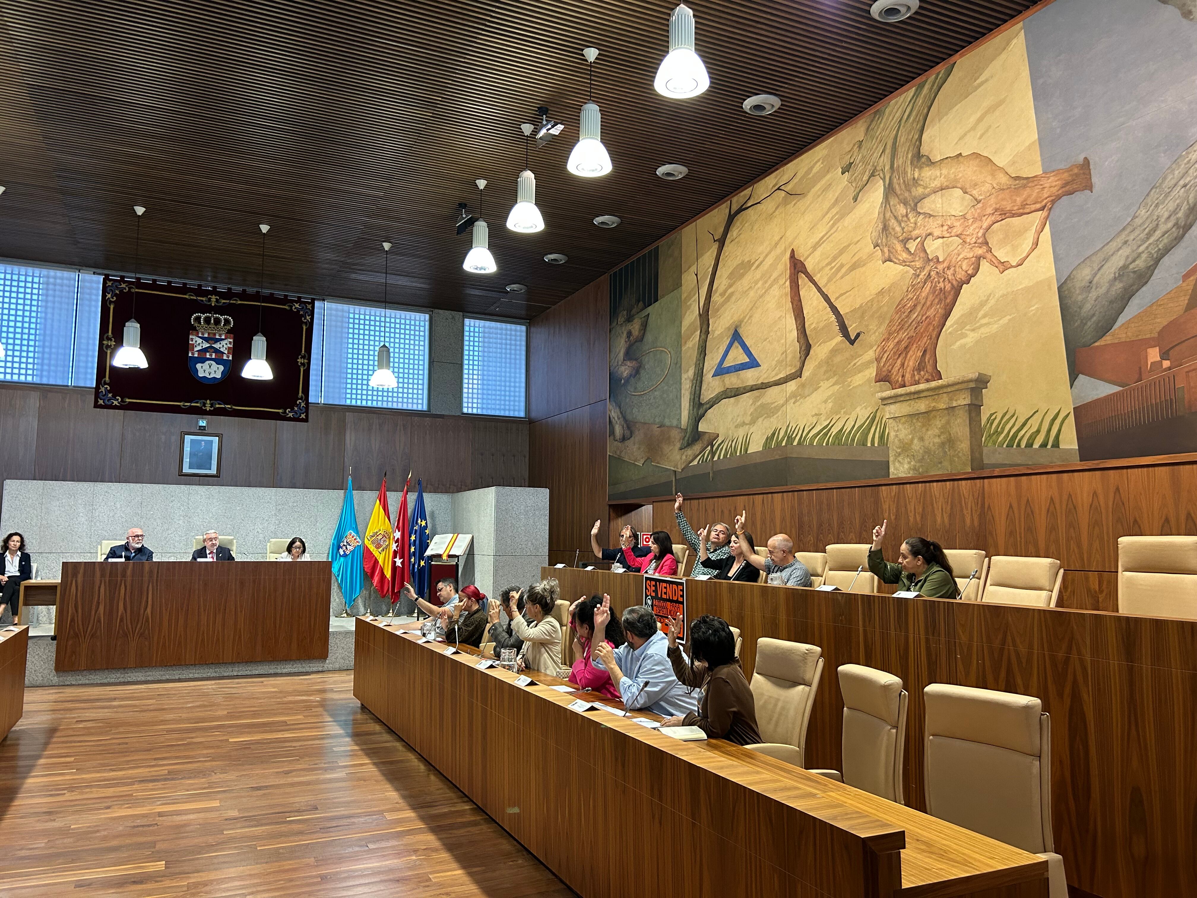 Ninguno de los concejales de la oposición ha intervenido en el Pleno Municipal