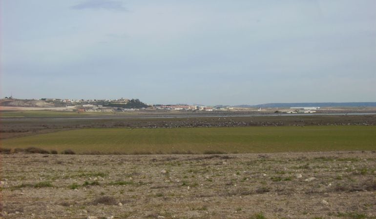 Terrenos afectados por la ZEPA de El Hito.