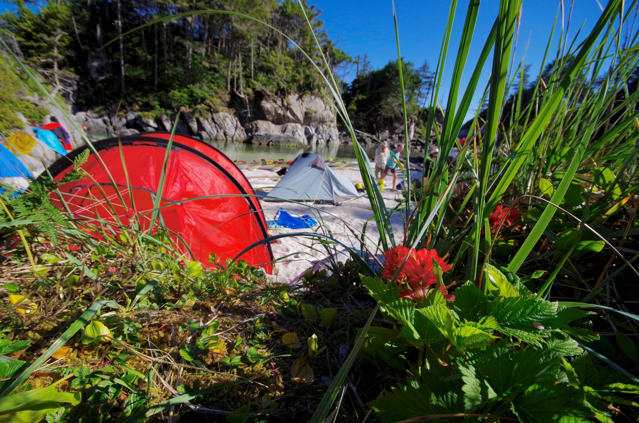 Imagen de archivo de un campamento en la playa