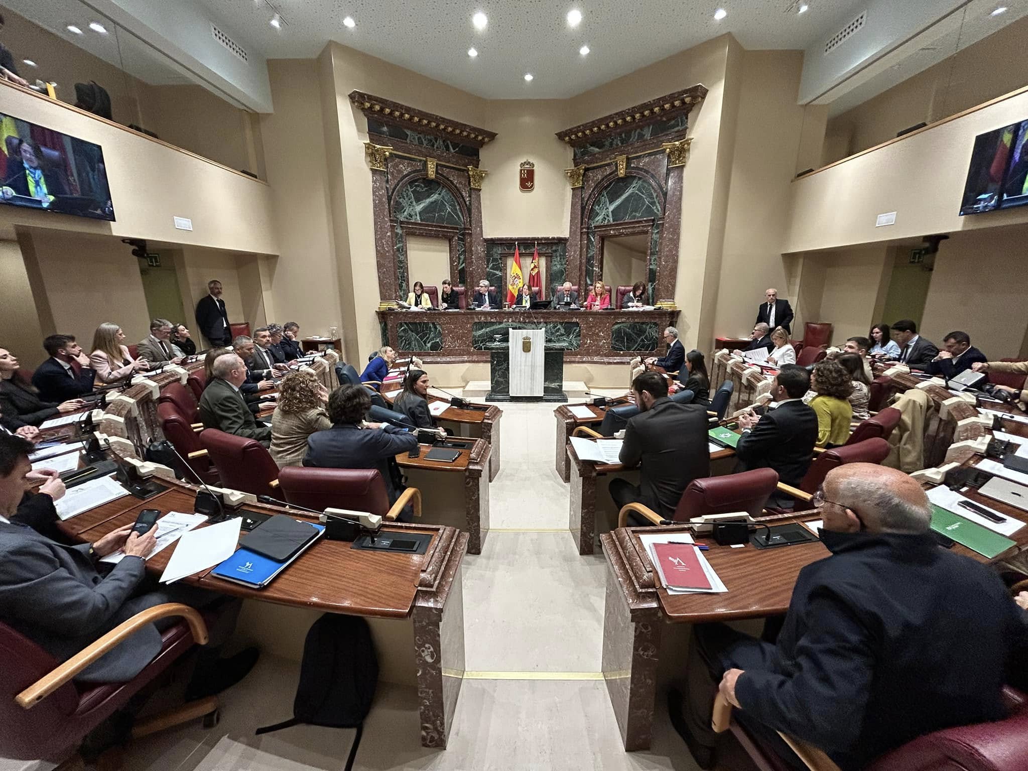 Pleno de la Asamblea Regional