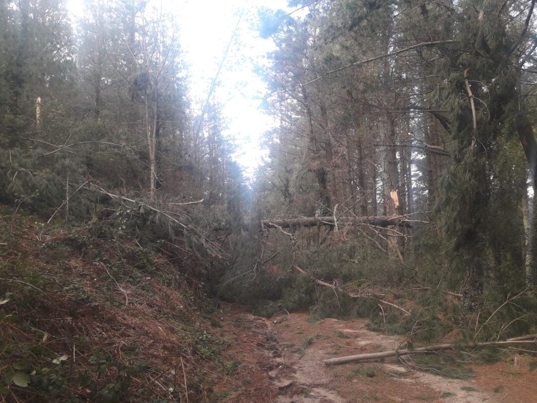 Molts camins han quedat impracticables.