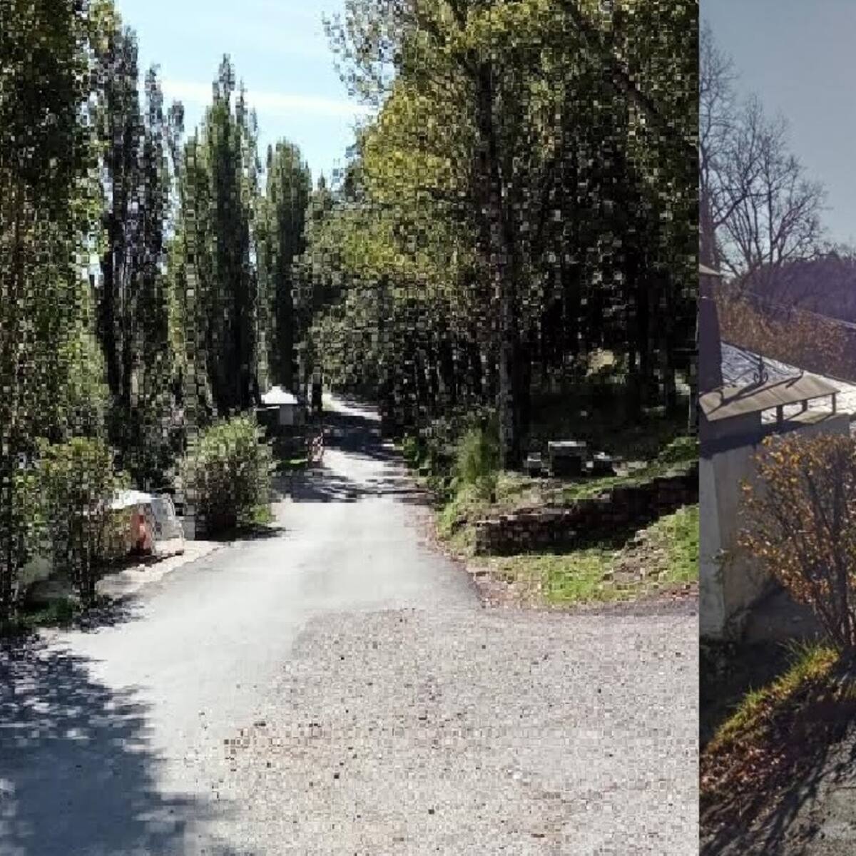 Miraflores de la Sierra ejecutó la tala de árboles en la Fuente del Cura a pesar de las denuncias ecologistas