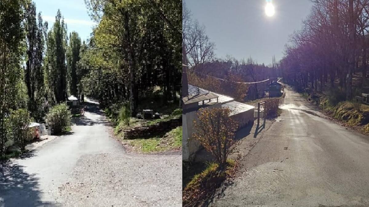 Entrevista a Simón Cortés, portavoz de organizaciones ecologistas denunciantes de la tala de árboles en Miraflores de la Sierra