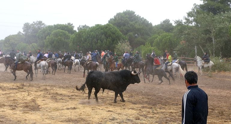 Festejo del Toro de la Peña