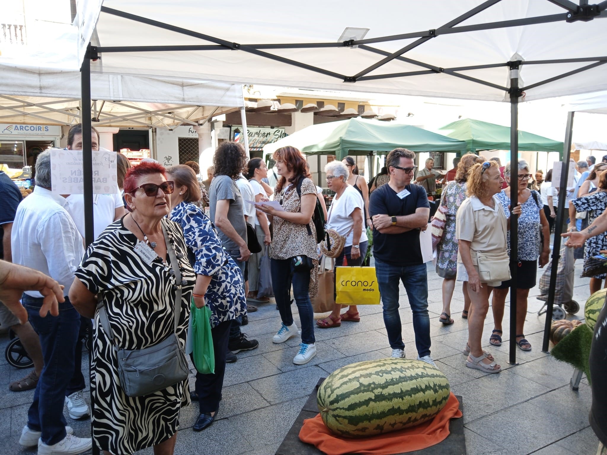 Sandía ganadora en la Muestra de Frutas y Hortalizas. Foto: Ayuntamiento de Barbastro