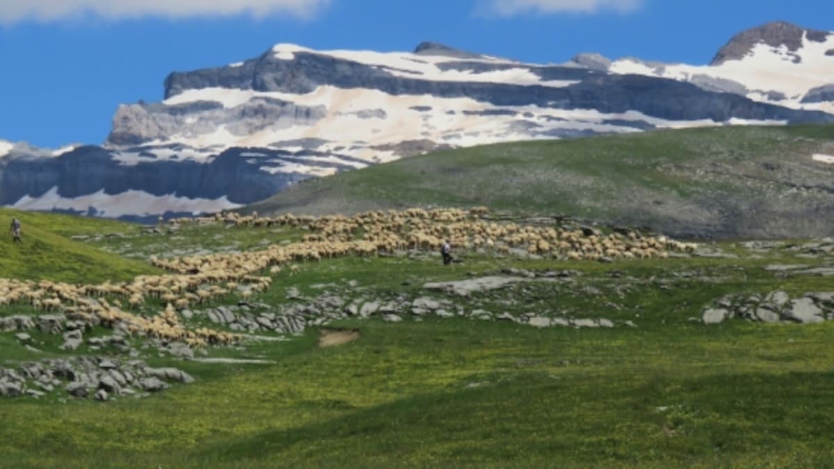 Aínsa acoge las Jornadas sobre Espacios Naturales Protegidos