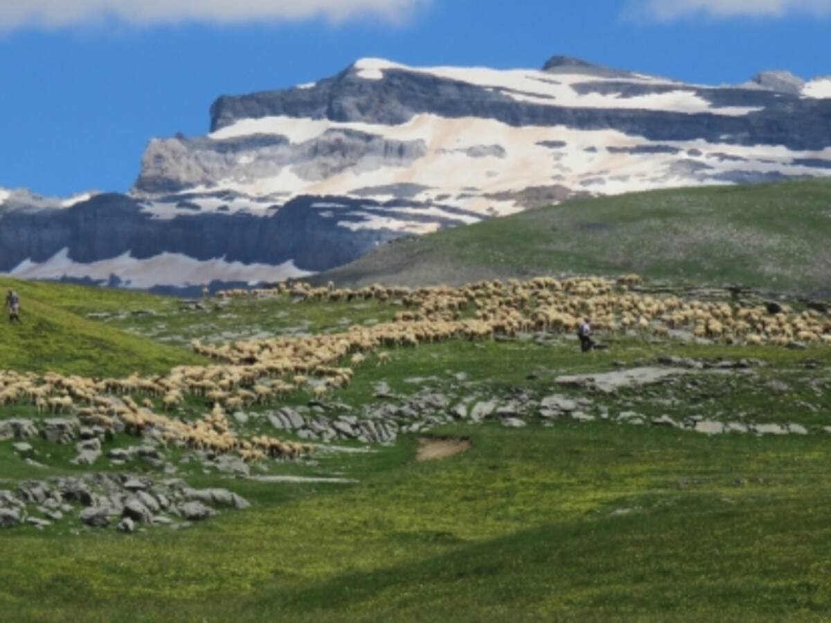 Aínsa acoge las Jornadas sobre Espacios Naturales Protegidos
