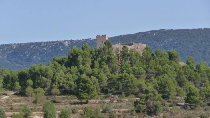 Cròniques alcoianes 25/01/2021