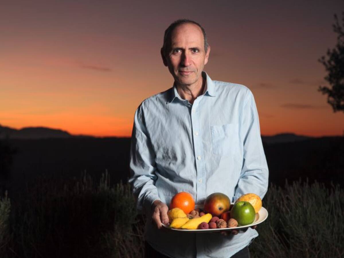 “Las patatas chip son una bomba de sal, grasas y calorías”