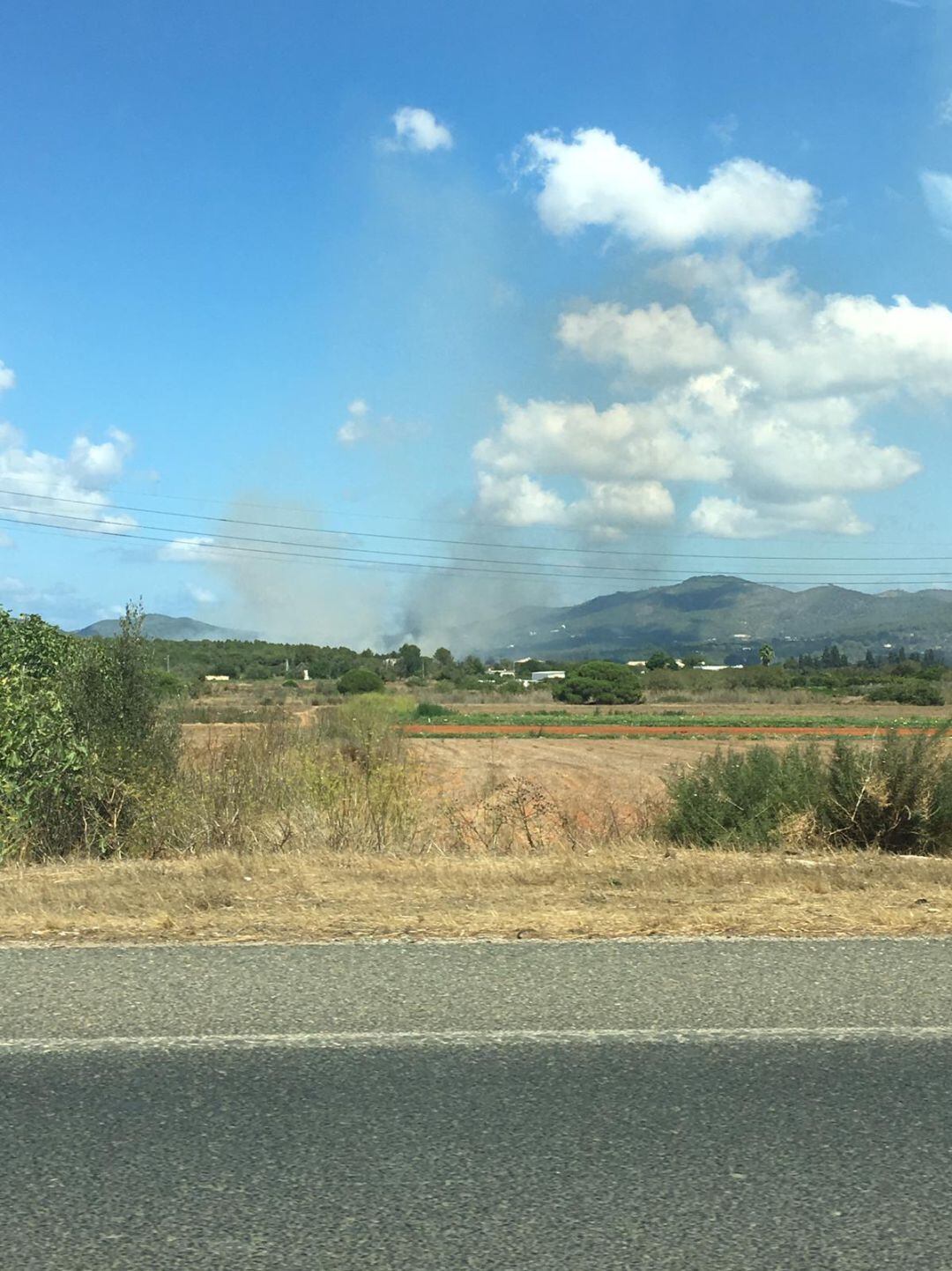 El incendio se ha producido en zona agrícola