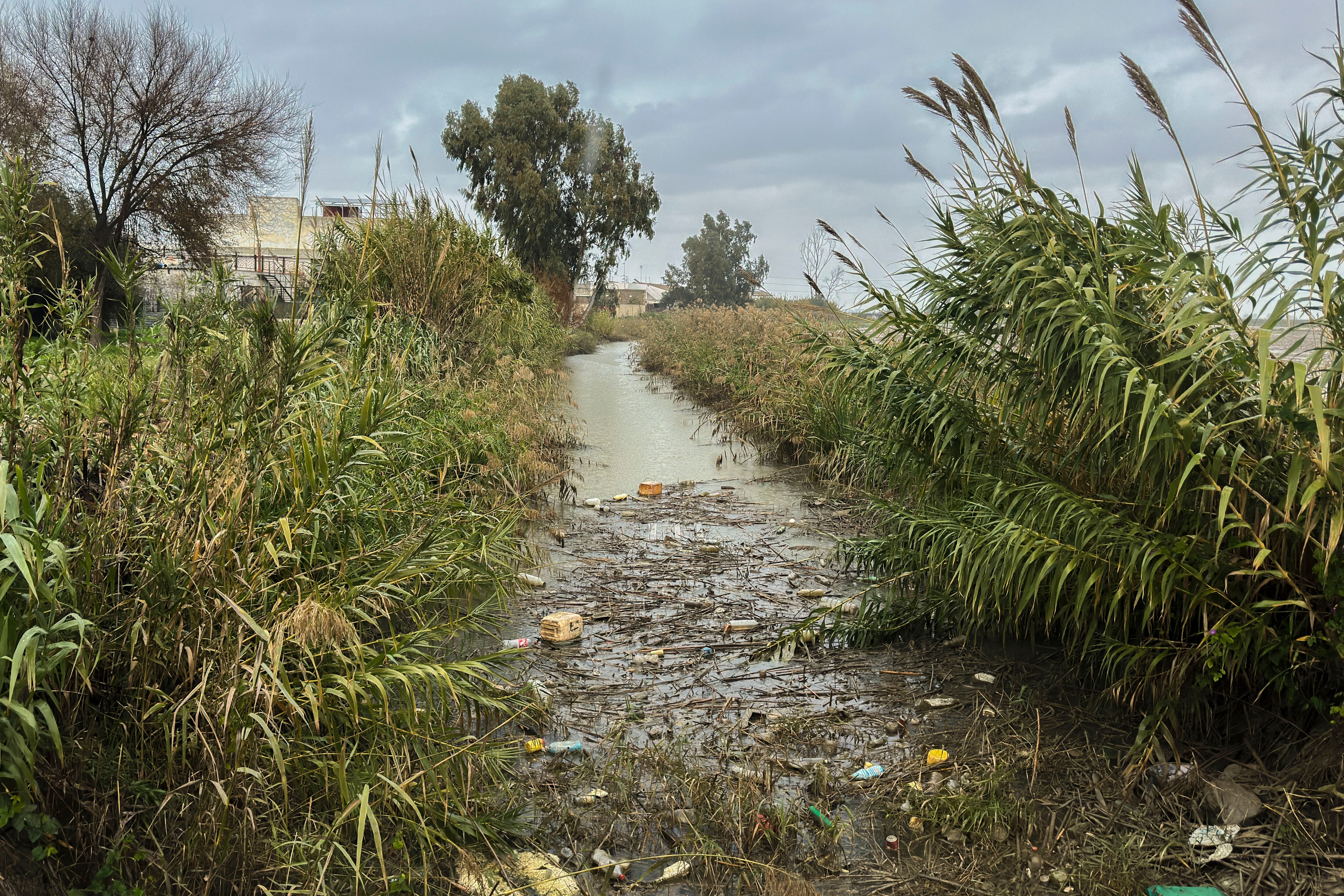 SEVILLA, 27/12/2025.- Vista del canal de la zona de Isla Mayor (Sevilla), donde esta tarde el grupo Especial de Actividades Subacuáticas (GEAS) de la Guardia Civil ha localizado el cuerpo sin vida de una persona, en el marco de un operativo desplegado tras detectarse la presencia de un vehículo que se había precipitado al agua. El cadáver, según han precisado a EFE desde la Guardia Civil, ha sido hallado a las 14.07 horas en el interior del vehículo en una zona de cañaverales próxima a la calle La Playa de la localidad y pertenece a un hombre desaparecido desde hace unos días al que se estaba buscando. EFE/ David Arjona