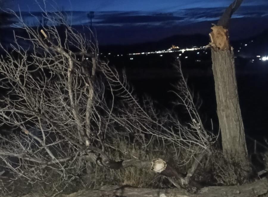 Efectos del viento en el Polideportivo de Villena