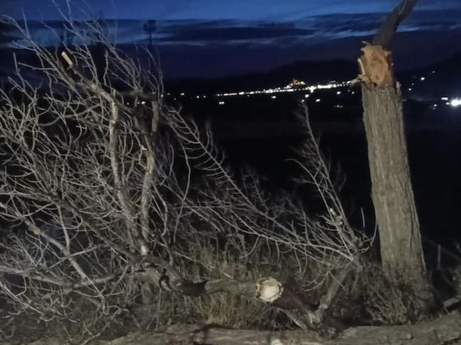 Efectos del viento en el Polideportivo de Villena