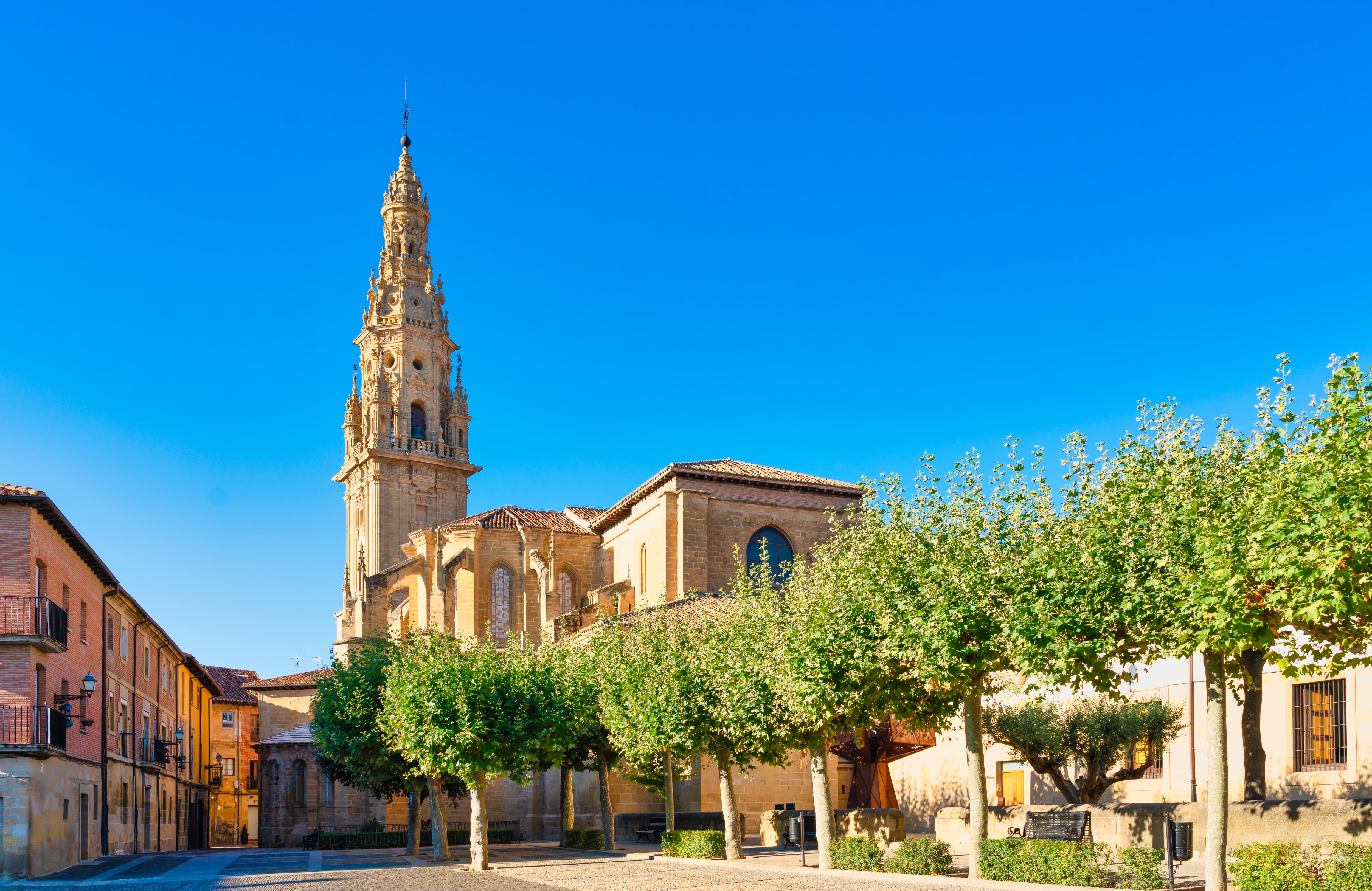 Catedral de Santo Domingo de la Calzada.