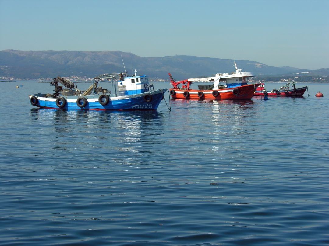 Barcos faenando.