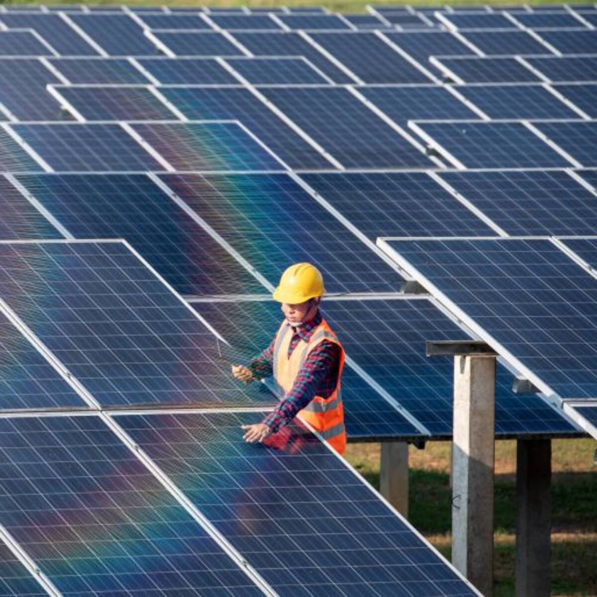 Dos empresas concurren al proyecto de parque solar de las pedanías de Cubillos