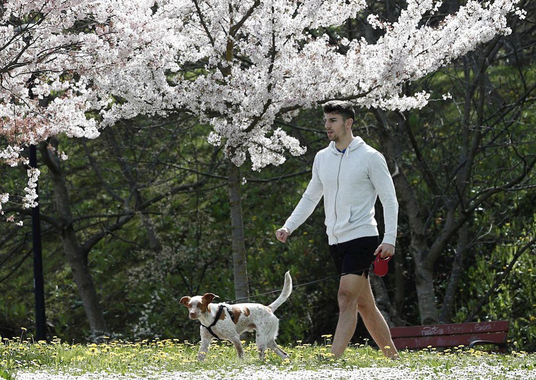 Sacar a pasear al perro es una de las actividades permitidas