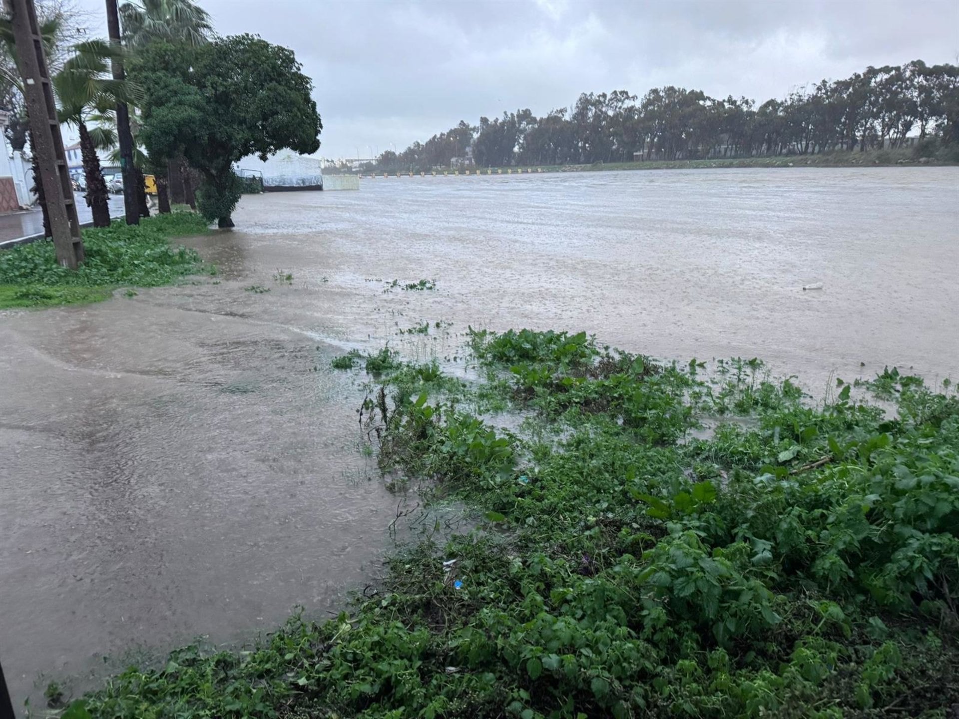 Autorizada la vuelta de las 470 familias desalojadas en la zona de Guadarranque por la crecida del río
El consejero de Sanidad, Presidencia y Emergencias, Antonio Sanz, ha anunciado a primera hora de este lunes 5 de enero que se permite la vuelta de las familias que este pasado domingo tuvieron que ser desalojadas de 470 viviendas en la zona del pantano de Guadarranque, en la comarca gaditana del Campo de Gibraltar, tras mejorar la situación sufrida este domingo con la crecida del río debido a la borrasca Francis, con inundaciones en municipios de la comarca gaditana del Campo de Gibraltar como Jimena, San Roque o Los Barrios.

POLITICA 
AYUNTAMIENTO DE SAN ROQUE