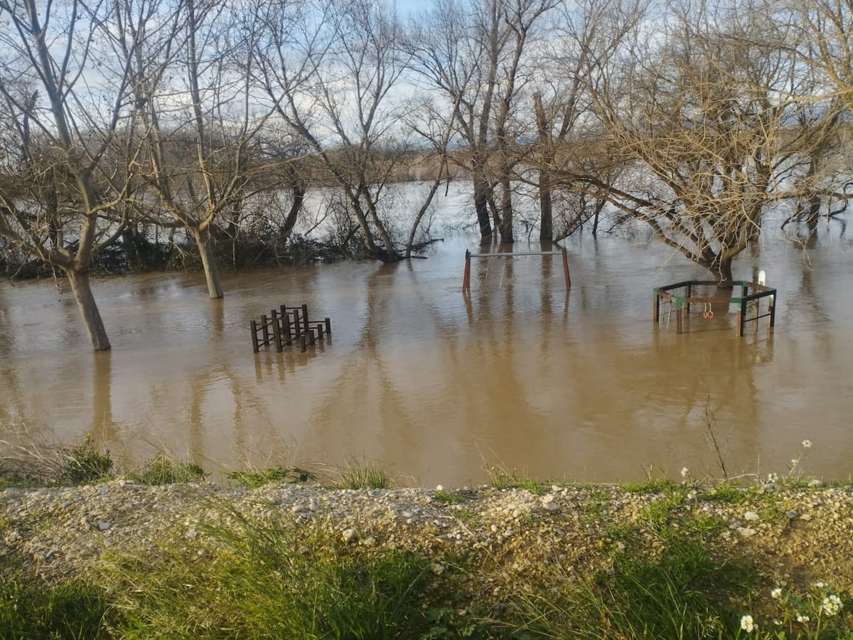 Los municipios de la ribera del Ebro afrontan inundaciones y daños tras la primera punta de la crecida