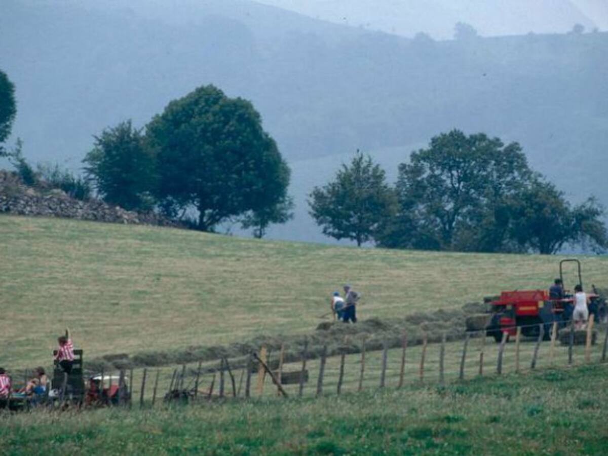 Euskadi ayudará por ley a las agricultoras para que se hagan autónomas