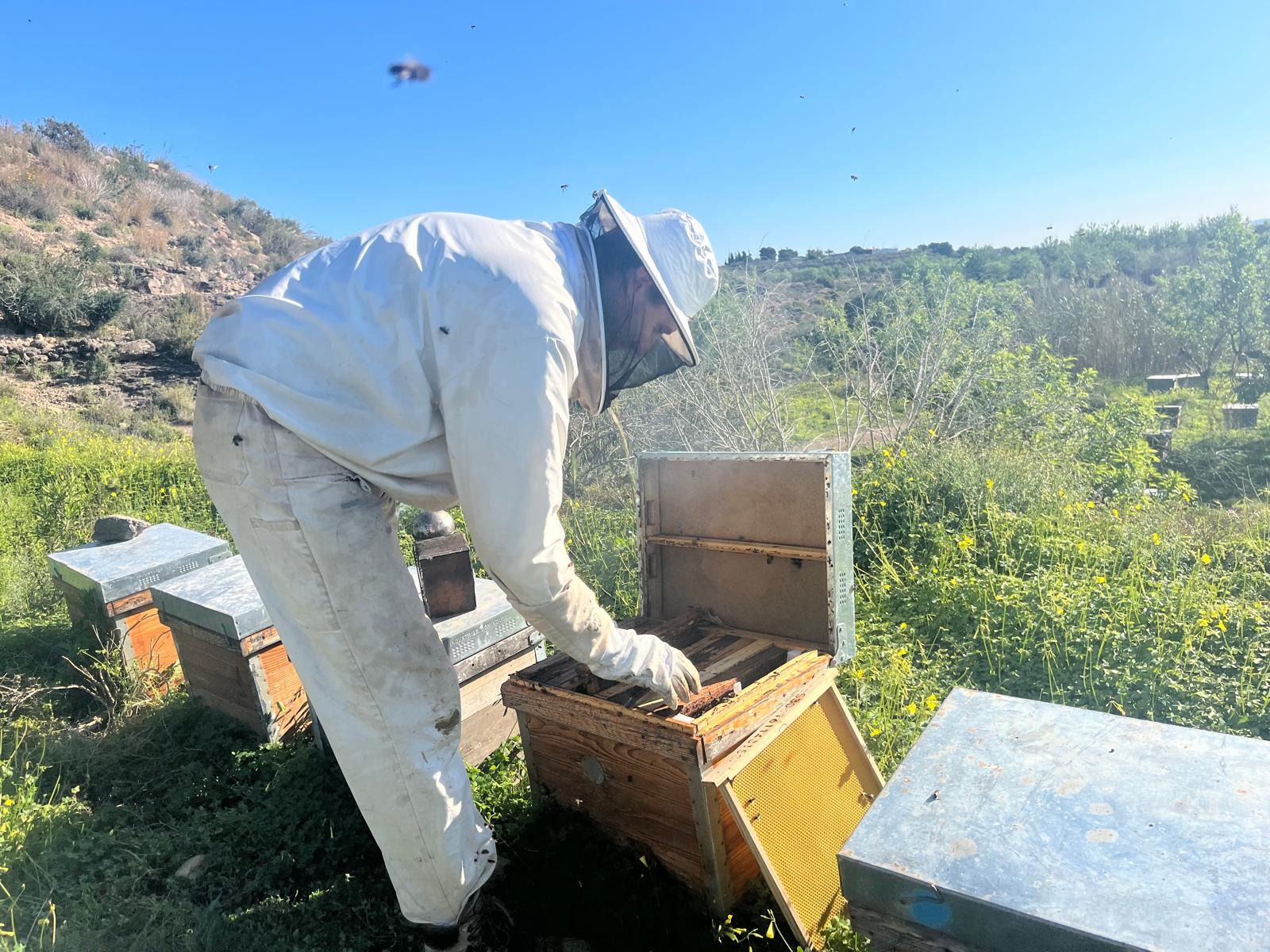 Álvaro Pérez, apicultor del campo de Cartagena