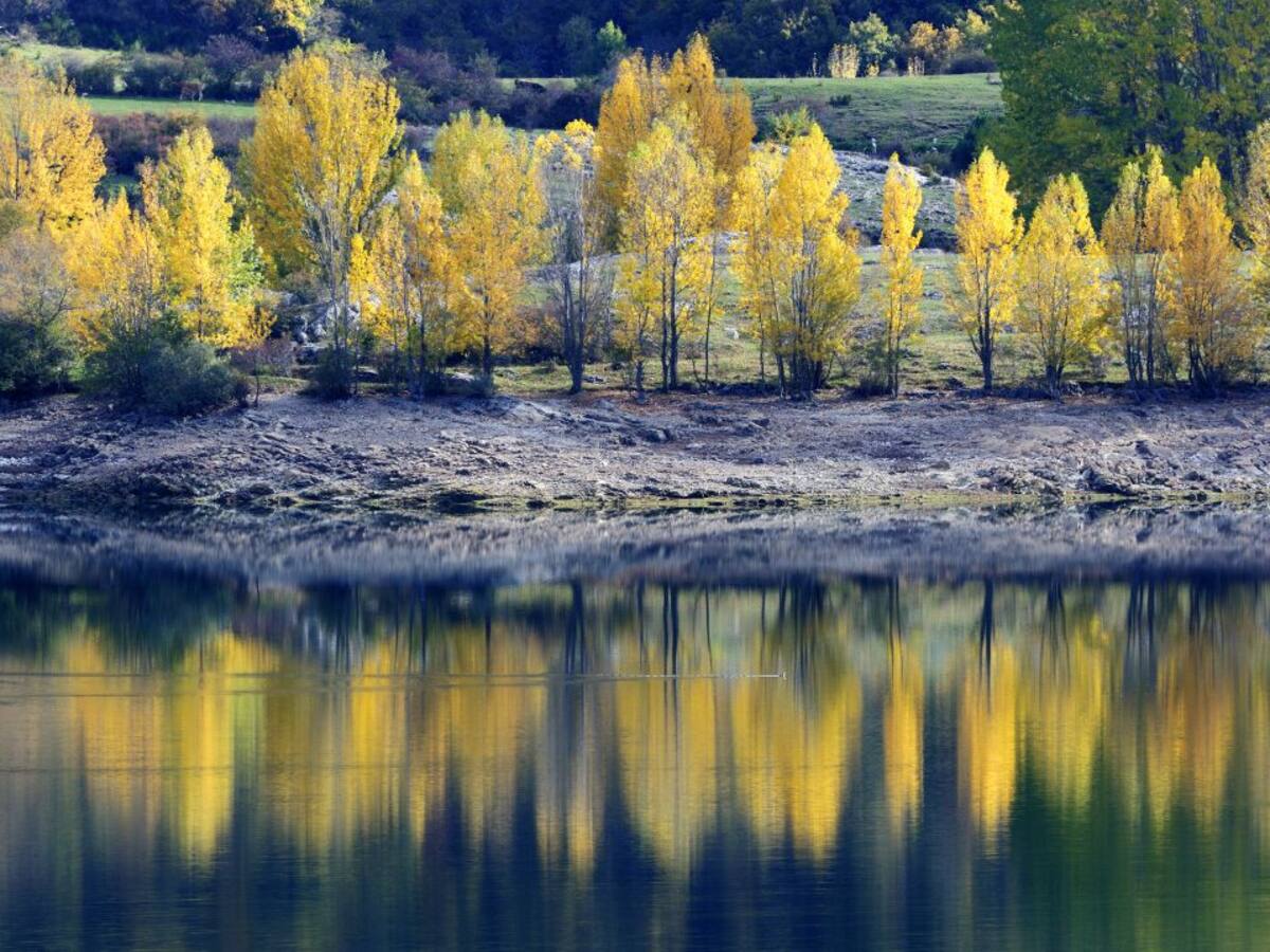 Naturcyl avanza en su programación para 2022