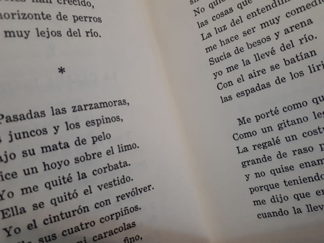 La poesía tendrá un importante papel en el festival del día 8 de marzo en el Teatro Coliseo de Eibar