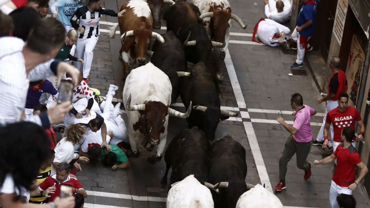 Cuarto encierro de Sanfermines 2019 con toros de Jandilla (10/07/2019)