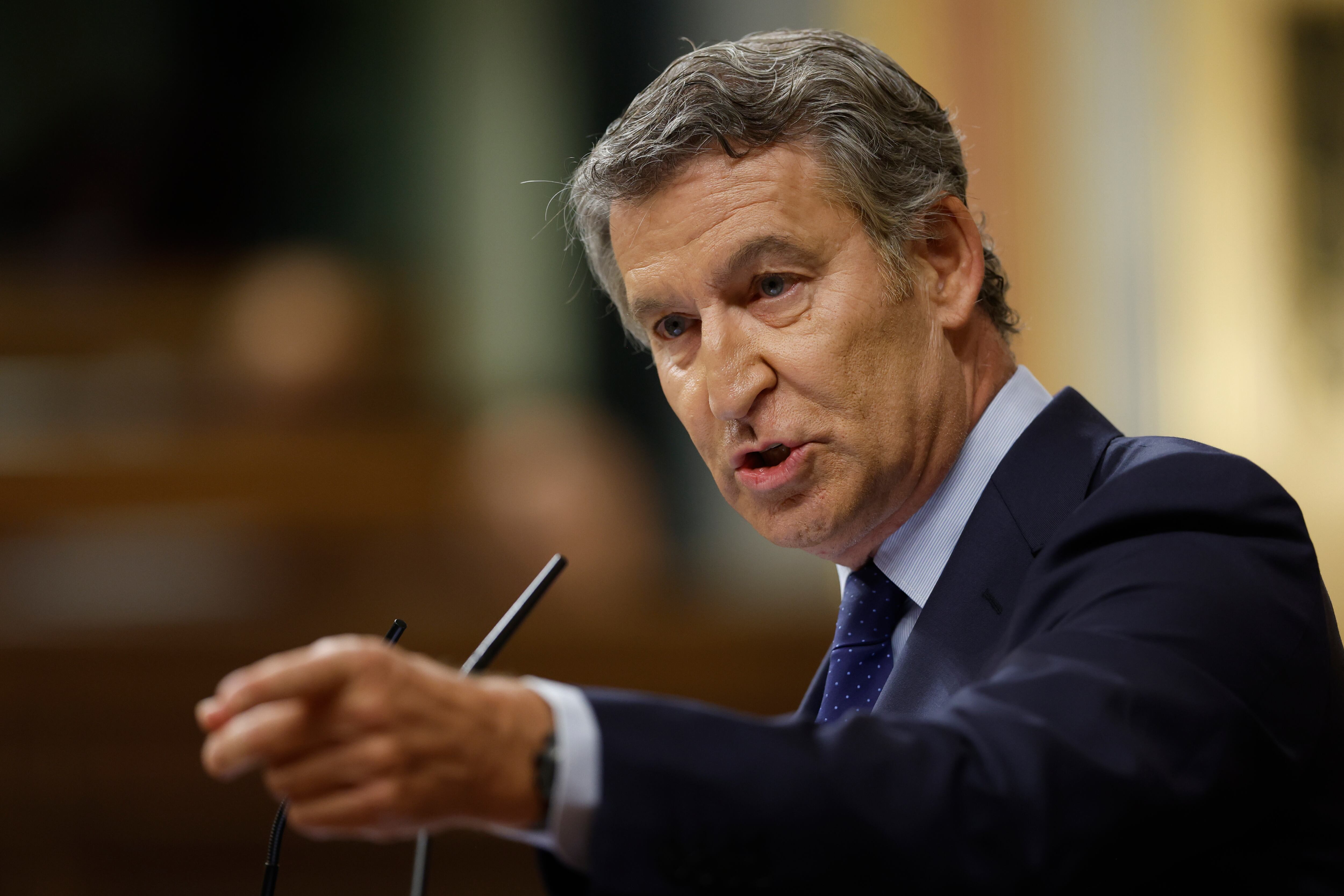 El líder del Partido Popular, Alberto Núñez Feijóo interviene durante el pleno del Congreso de los Diputados. 