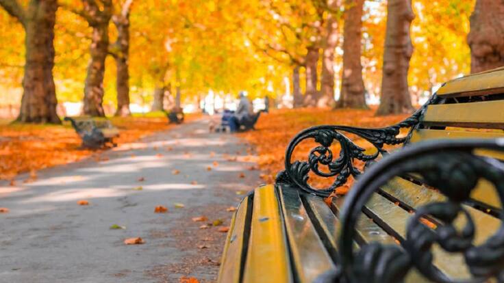 El verano ha sido 'extremadamente cálido' en Formentera y con noches 'tórridas' en Ibiza