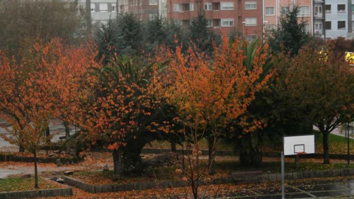 El PSOE pide que el Ensanche y O Inferniño tengan una Estrategia de Desarrollo Integrado Local