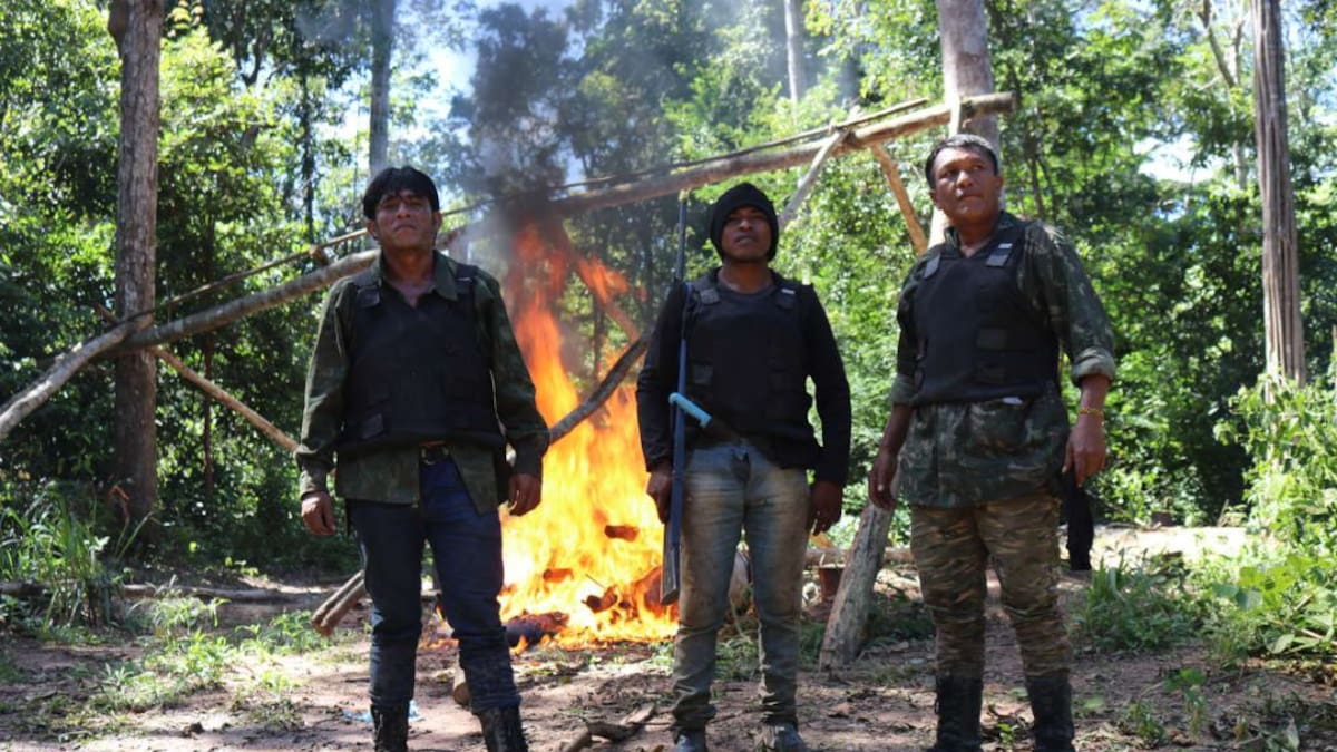 Guardianes de la selva