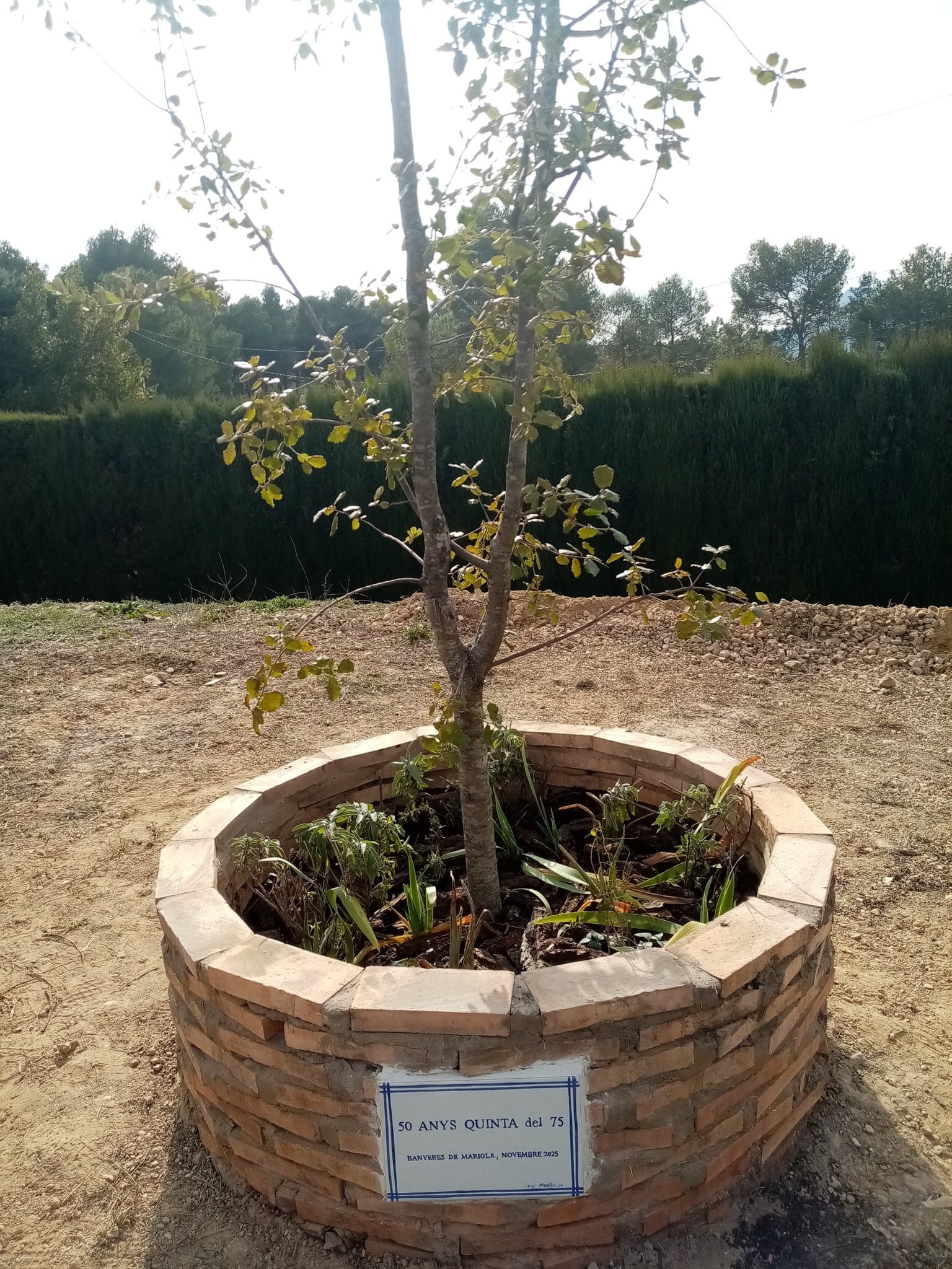 La Carrasca de los Quintos del 75