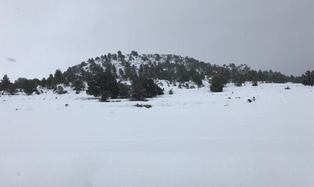 Se producirá una caída de la cota de nieve hasta los 300-600 metros durante la tarde-noche del domingo