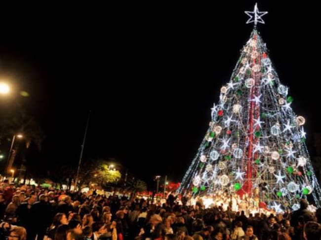 Inauguración del árbol de Navidad de la plaza Circular en diciembre de 2.016.