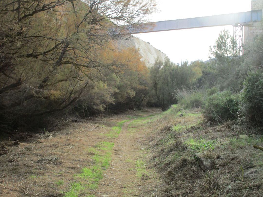 Desbroce en El Pantano