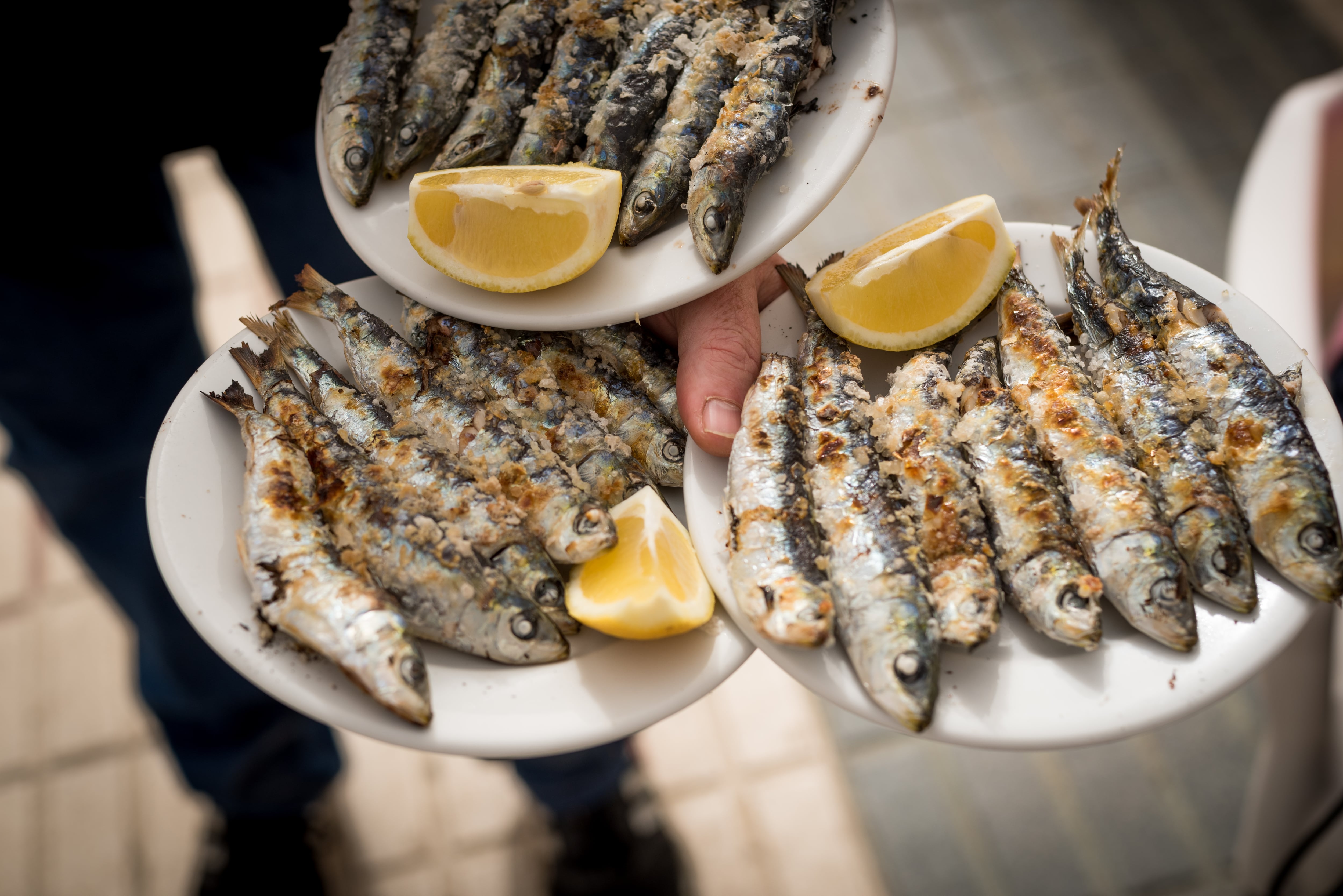 Varios platos de sardinas.