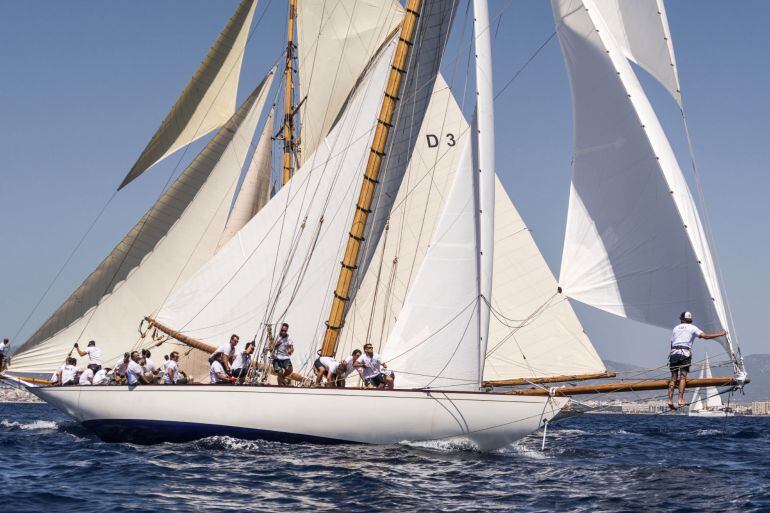  La tripulación de &#039;El Hispania&#039;, durante la cuarta y última jornada de la XXIII Regata Illes Balears Clàssics, celebrada hoy en aguas de la bahía de Palma.