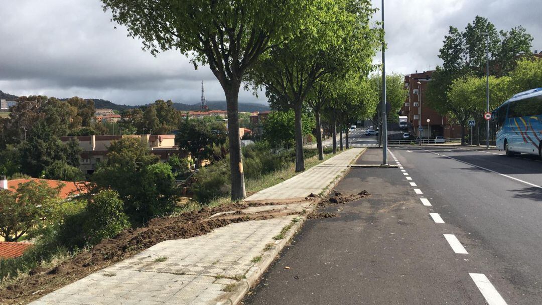 Calle Rodrigo Alemán donde se ven algunos efectos del accidente y atropello de ayer 24 de abril de 2019