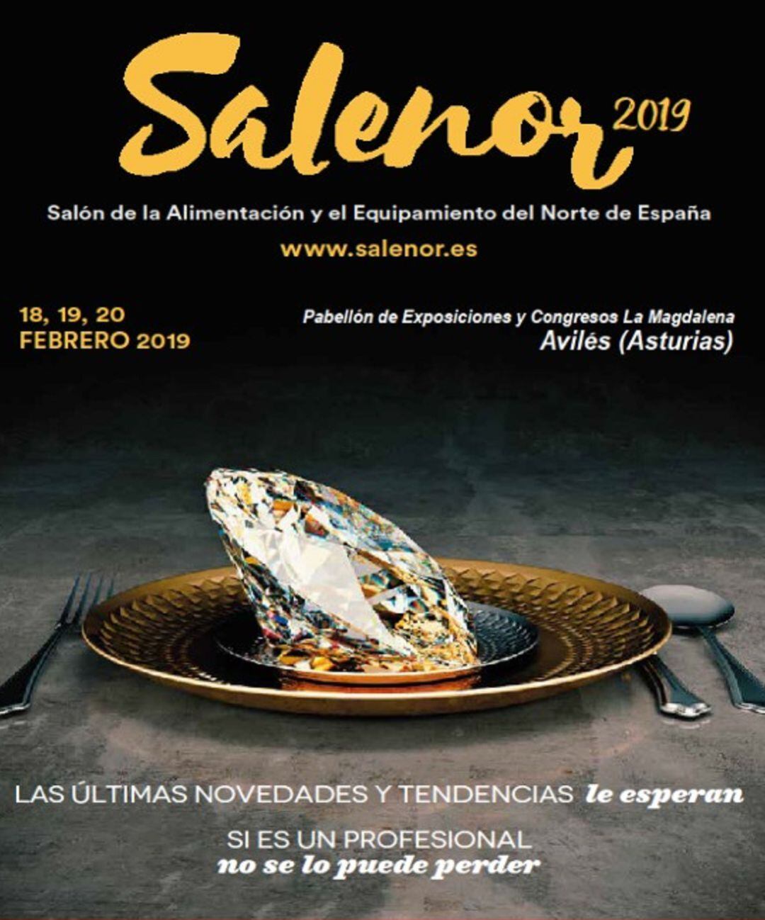 Imagen del cartel de Salenor 2019