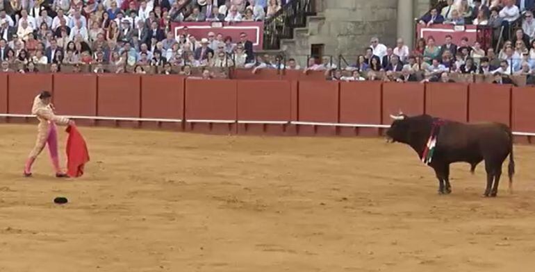 David Mora, durante su actuación del pasado año 2014 ante &#039;Niñito&#039;, ejemplar de la ganadería de El Pilar premiado por el Colegio de Veterinarios de Sevilla