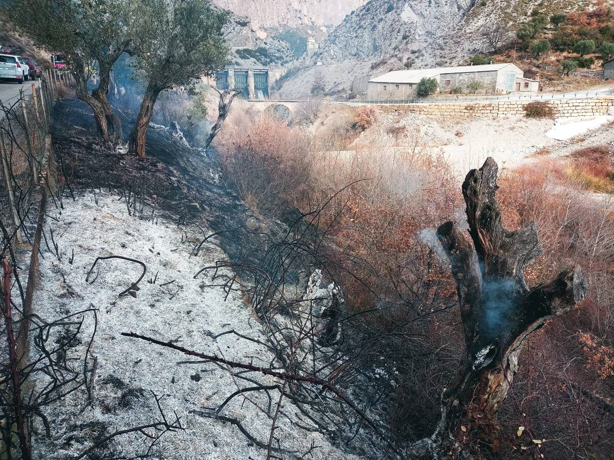 Un incendio forestal en Sopeira calcina 2 hectáreas de monte bajo