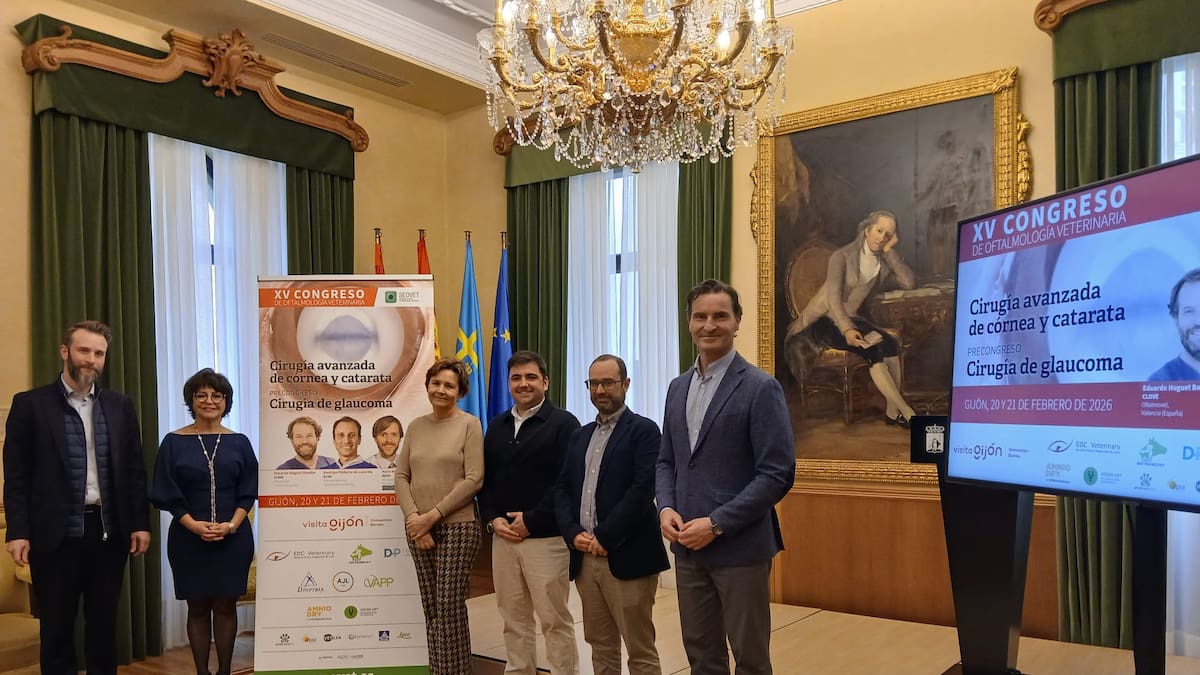 El XV Congreso de la Sociedad Española de Oftanmología veterinaria se celebrará en Gijón